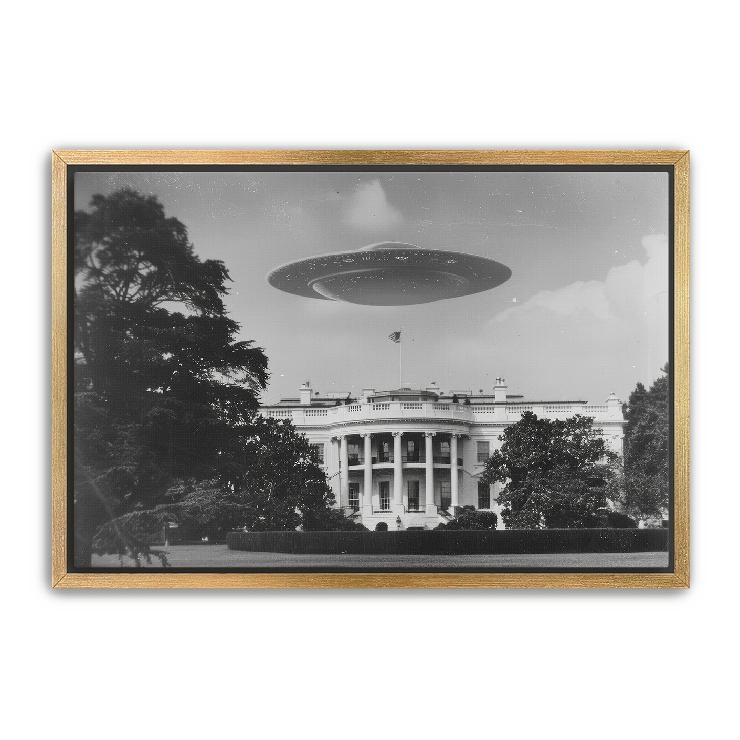 Extra Secret Service Wall Art