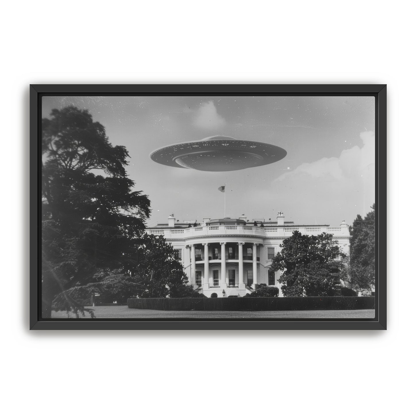 Extra Secret Service Wall Art