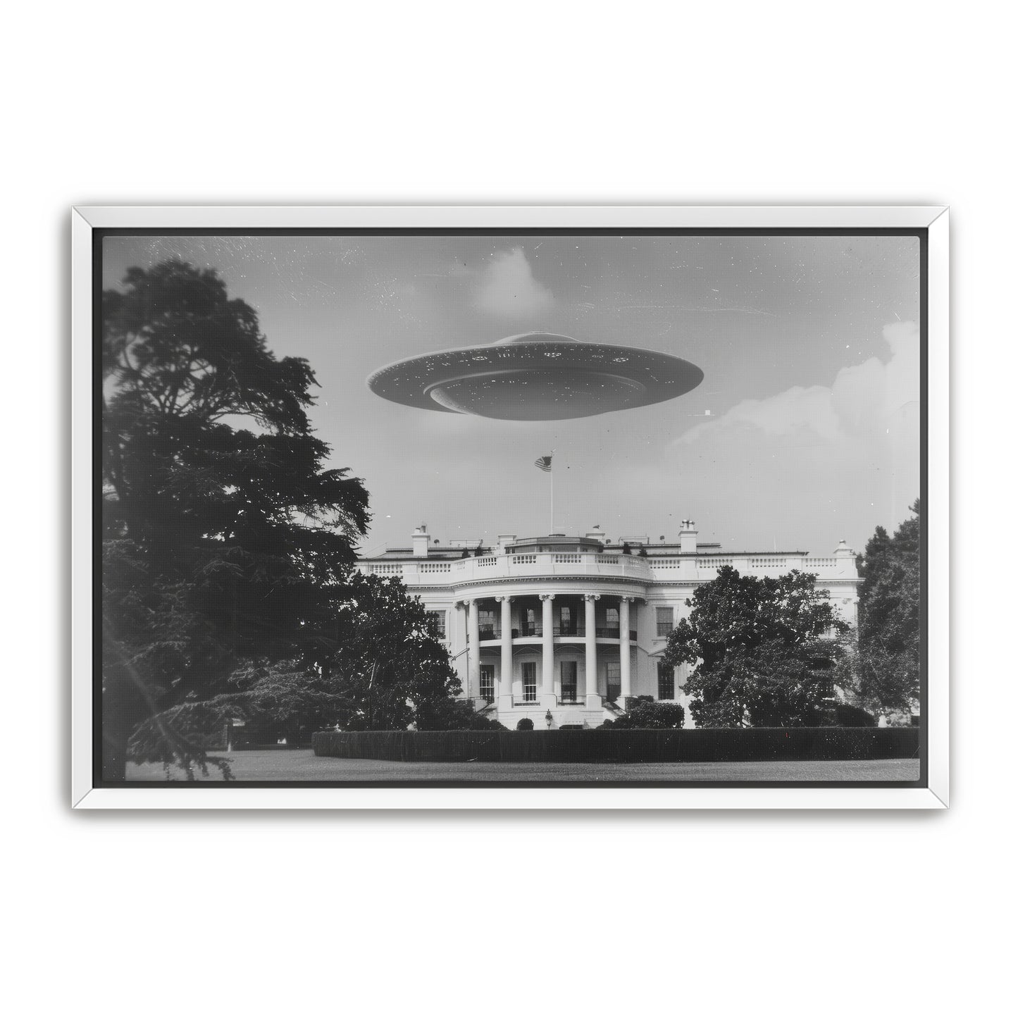 Extra Secret Service Wall Art