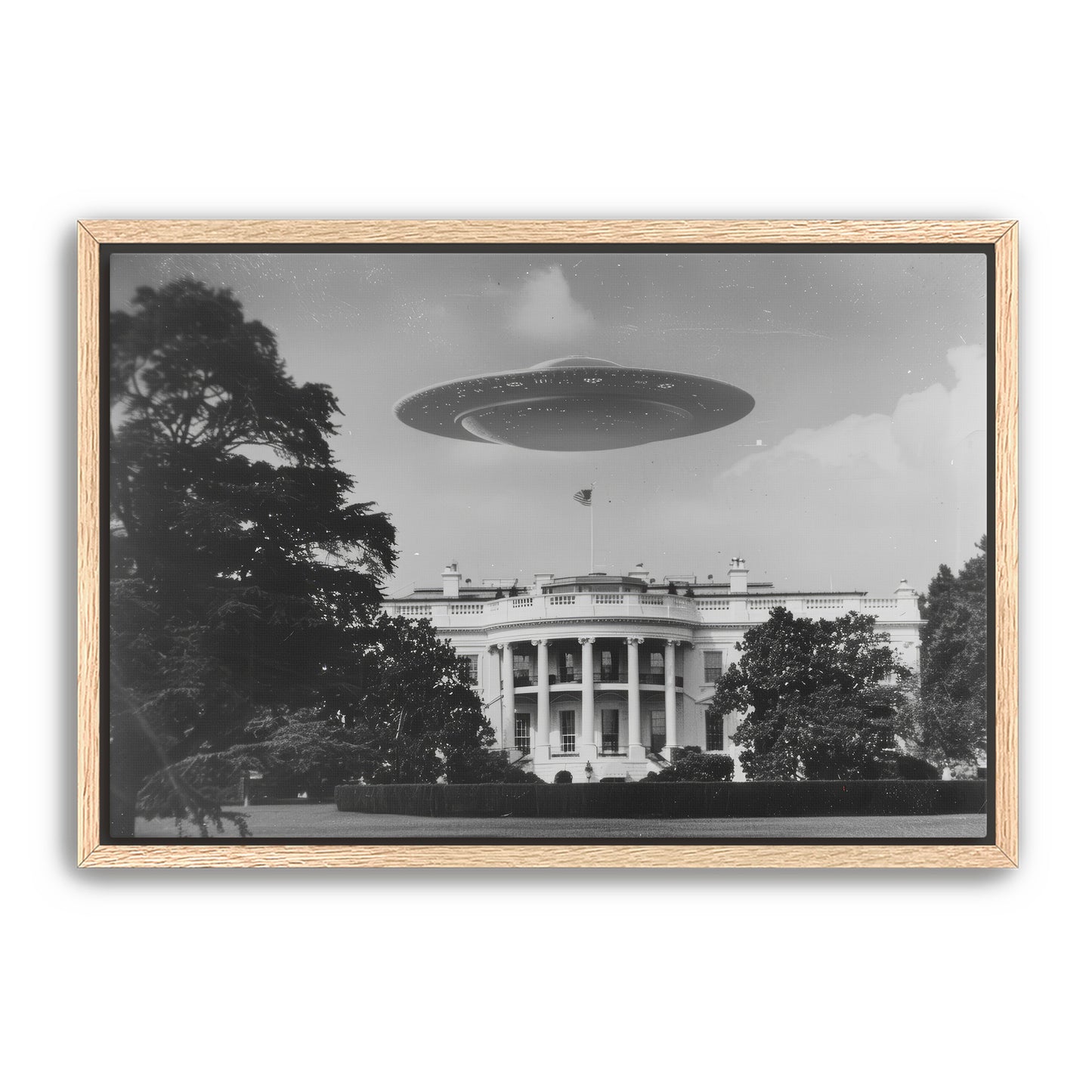 Extra Secret Service Wall Art