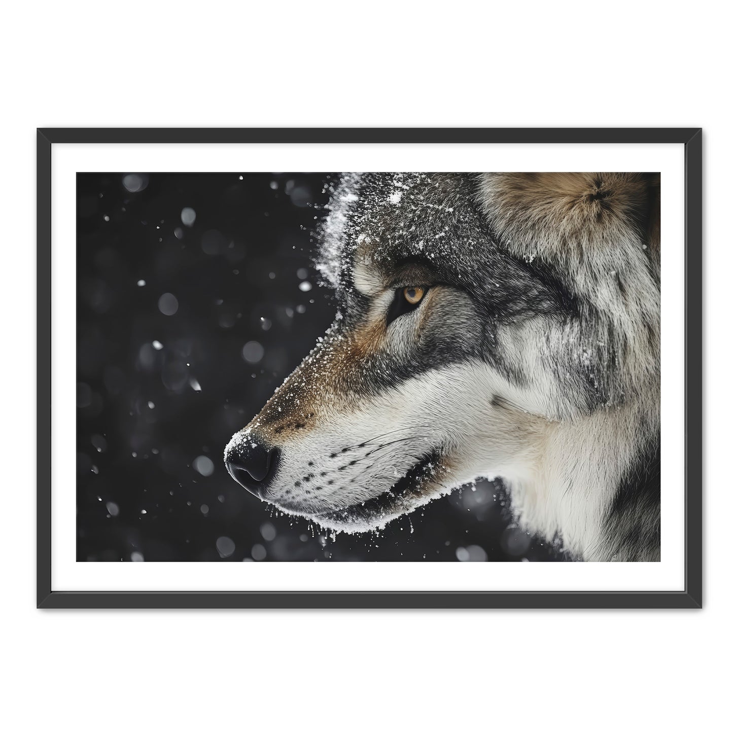 First Snowfall Wall Art