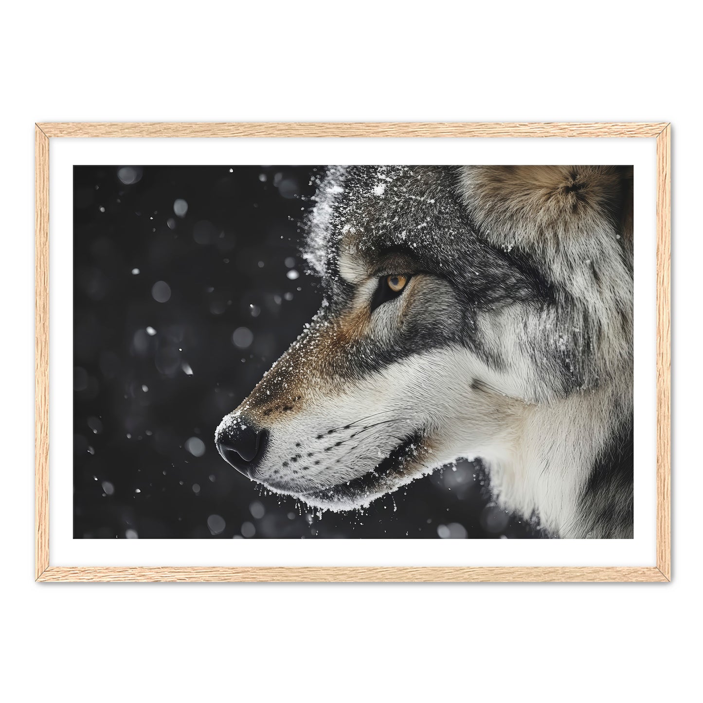 First Snowfall Wall Art