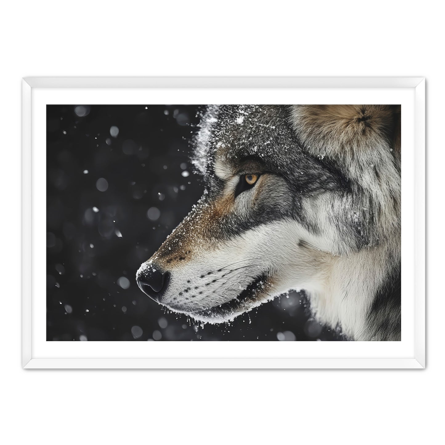 First Snowfall Wall Art