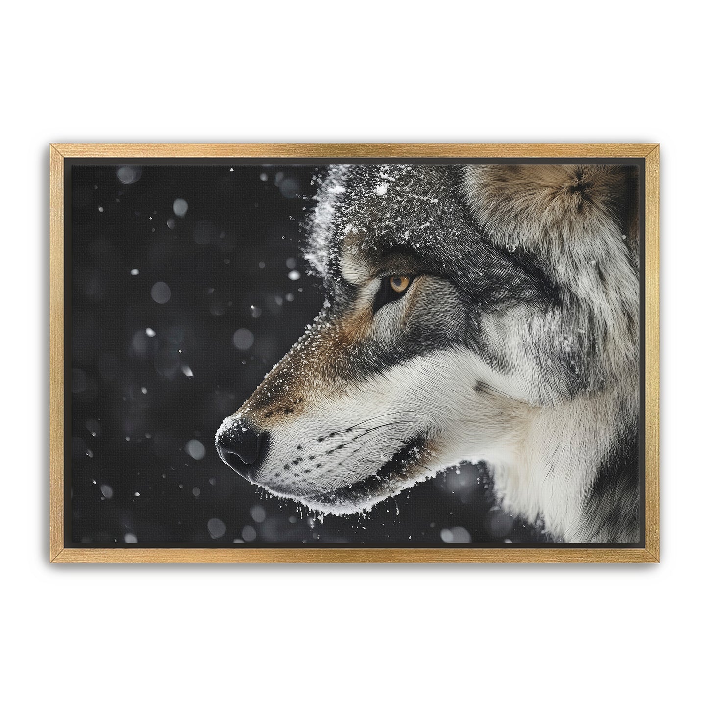 First Snowfall Wall Art