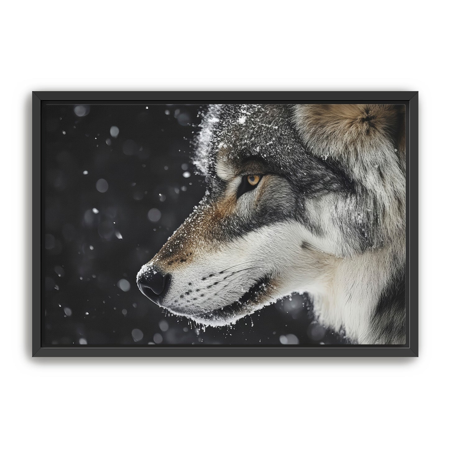 First Snowfall Wall Art