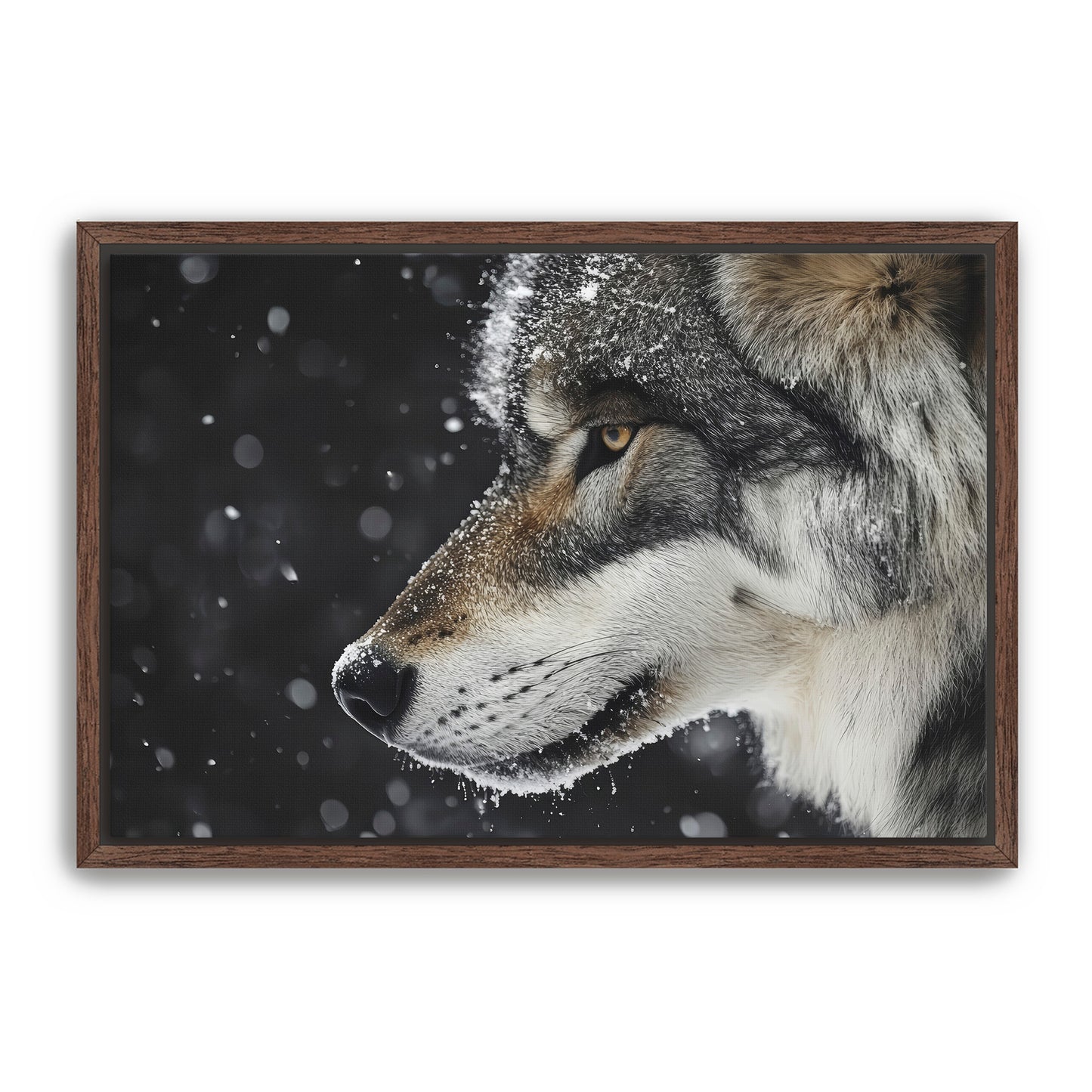 First Snowfall Wall Art