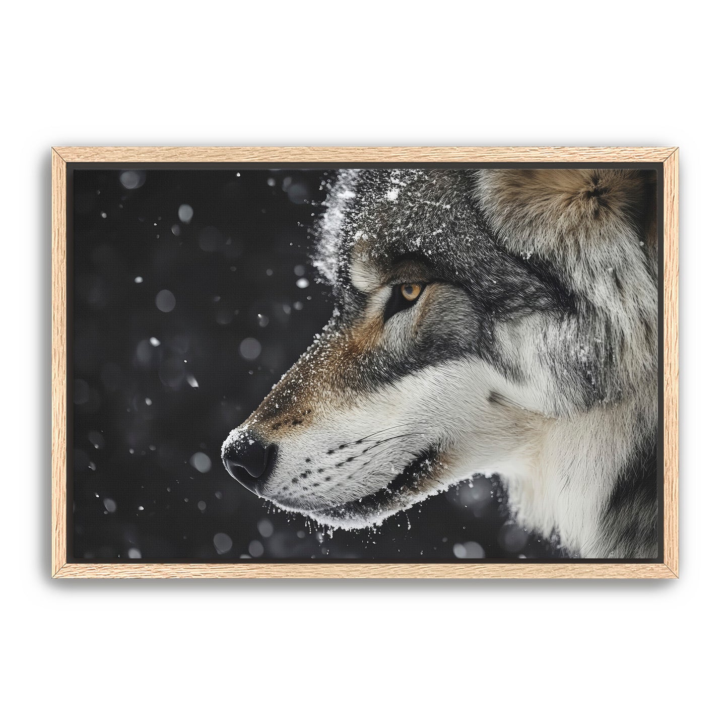 First Snowfall Wall Art