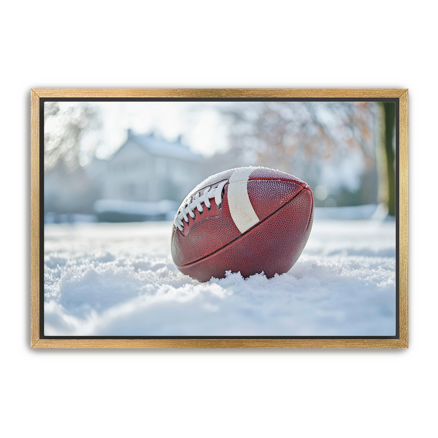 Football in Snow Wall Art