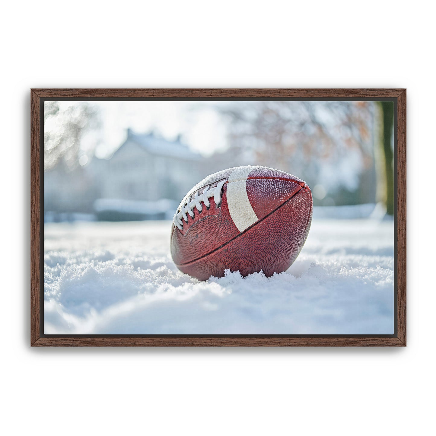 Football in Snow Wall Art