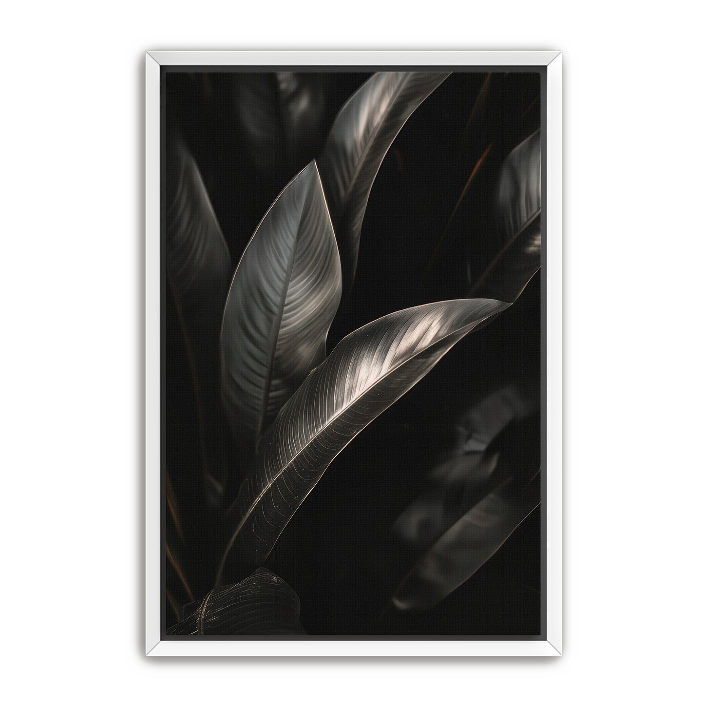 Lief Wall Art