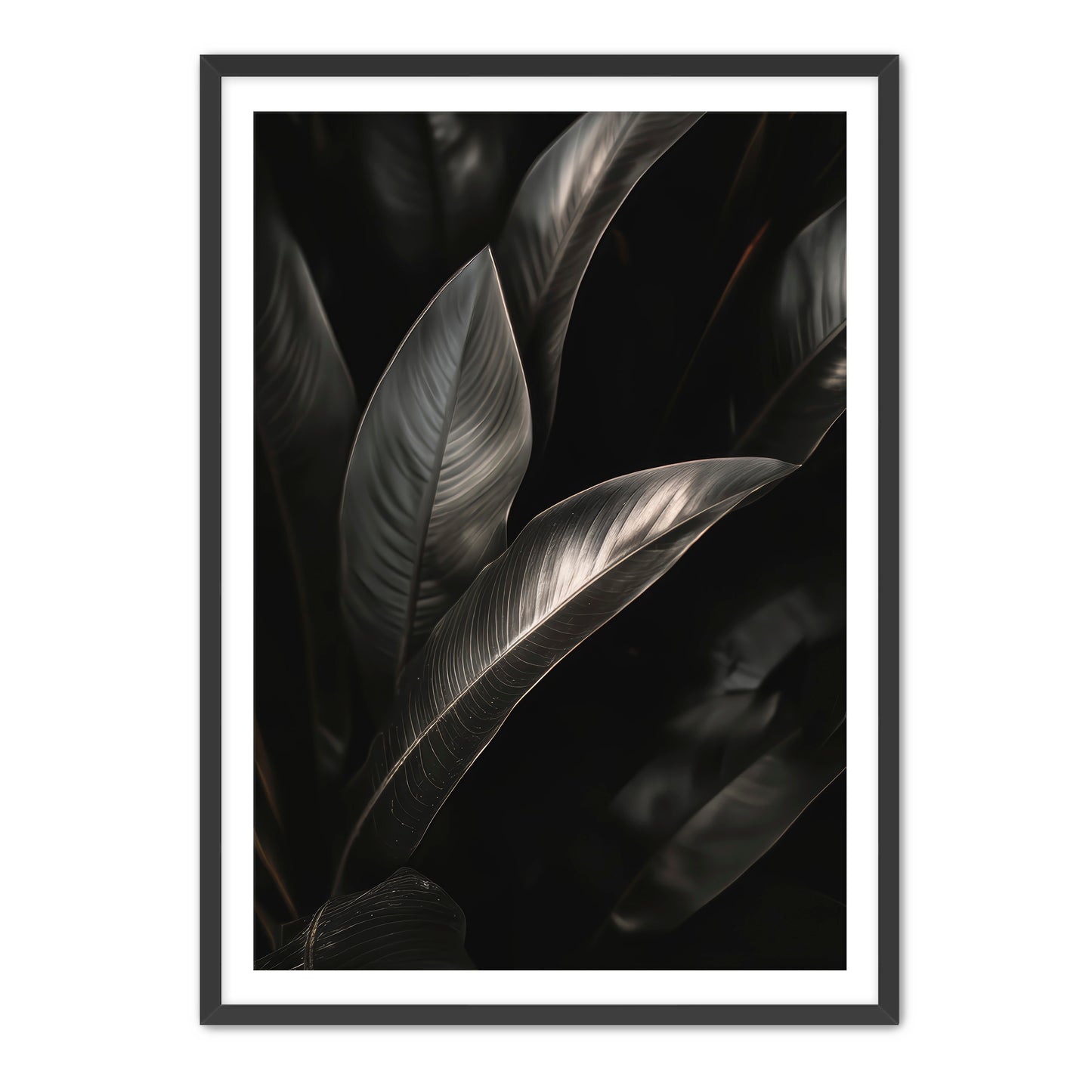 Lief Wall Art