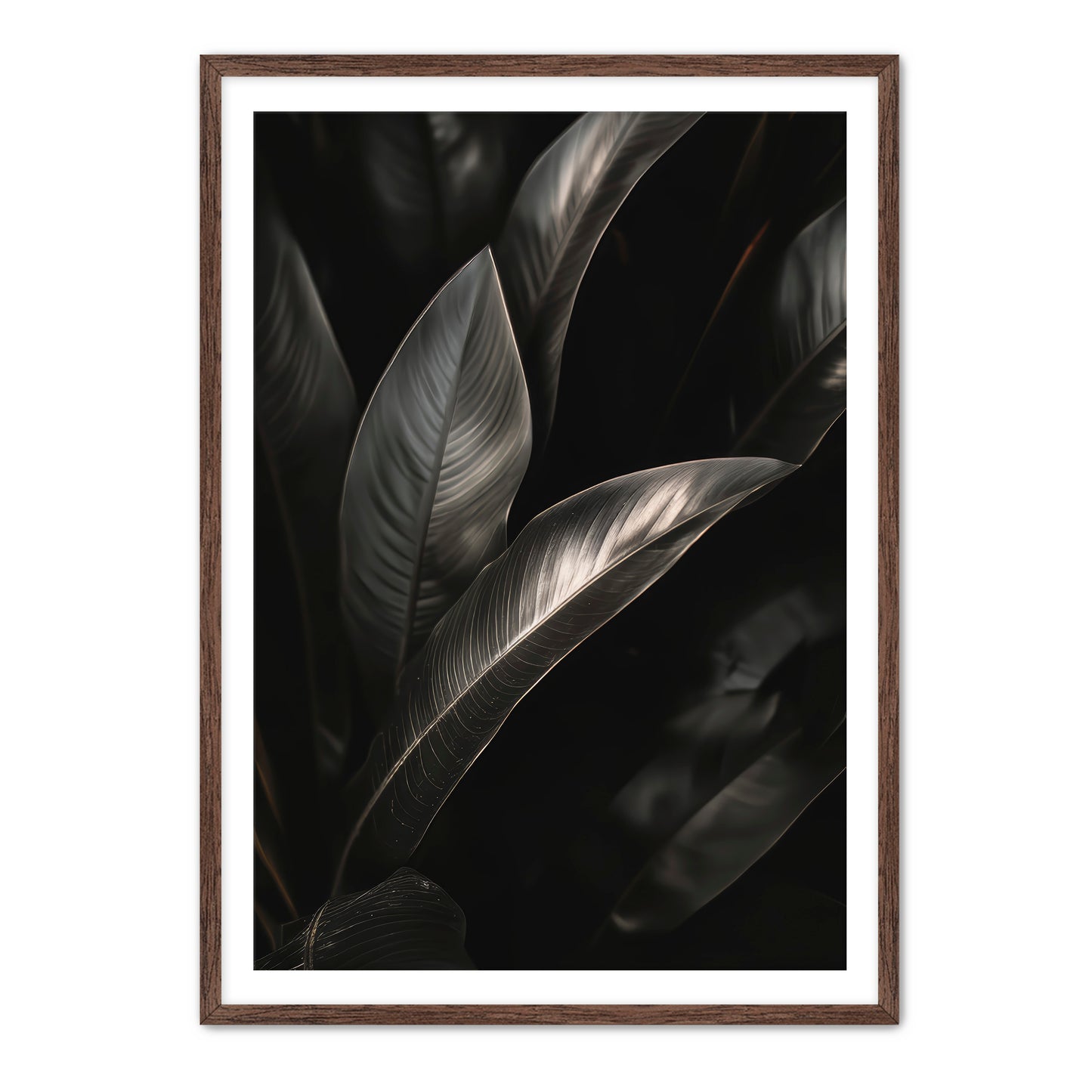 Lief Wall Art