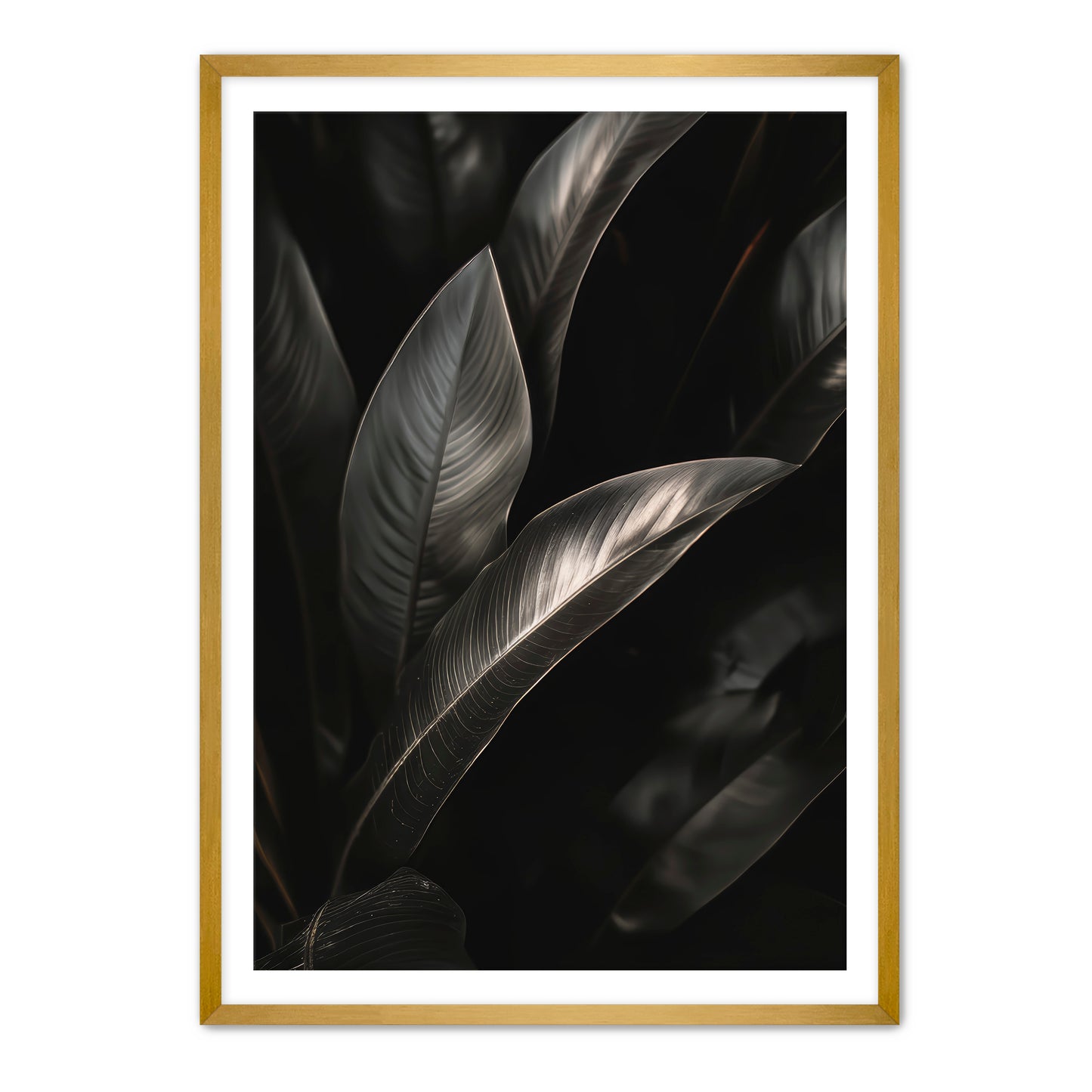 Lief Wall Art