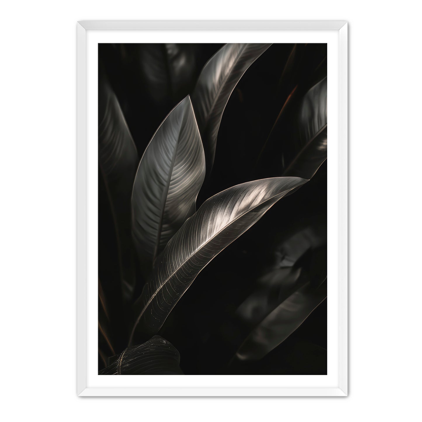 Lief Wall Art