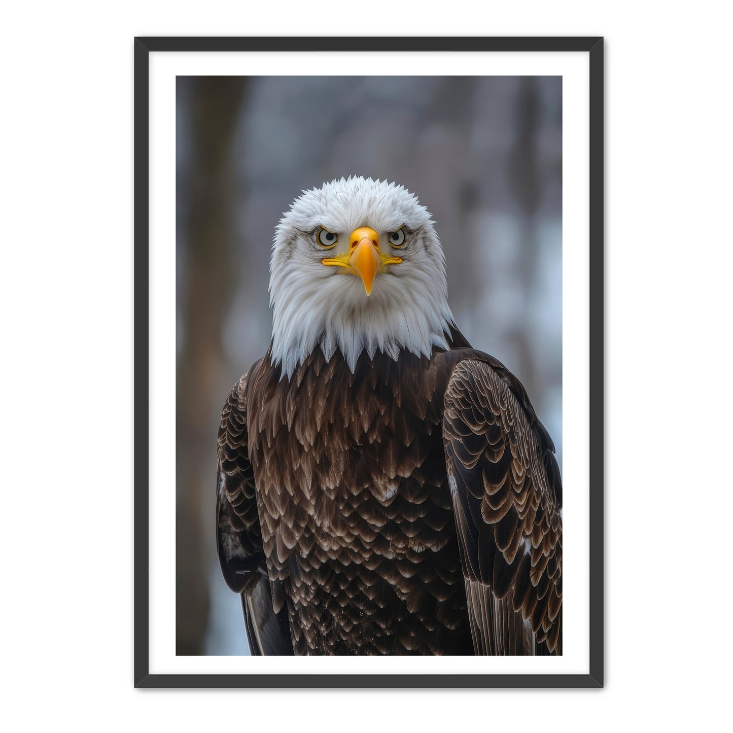 Majestic Eagle Portrait Wall Art