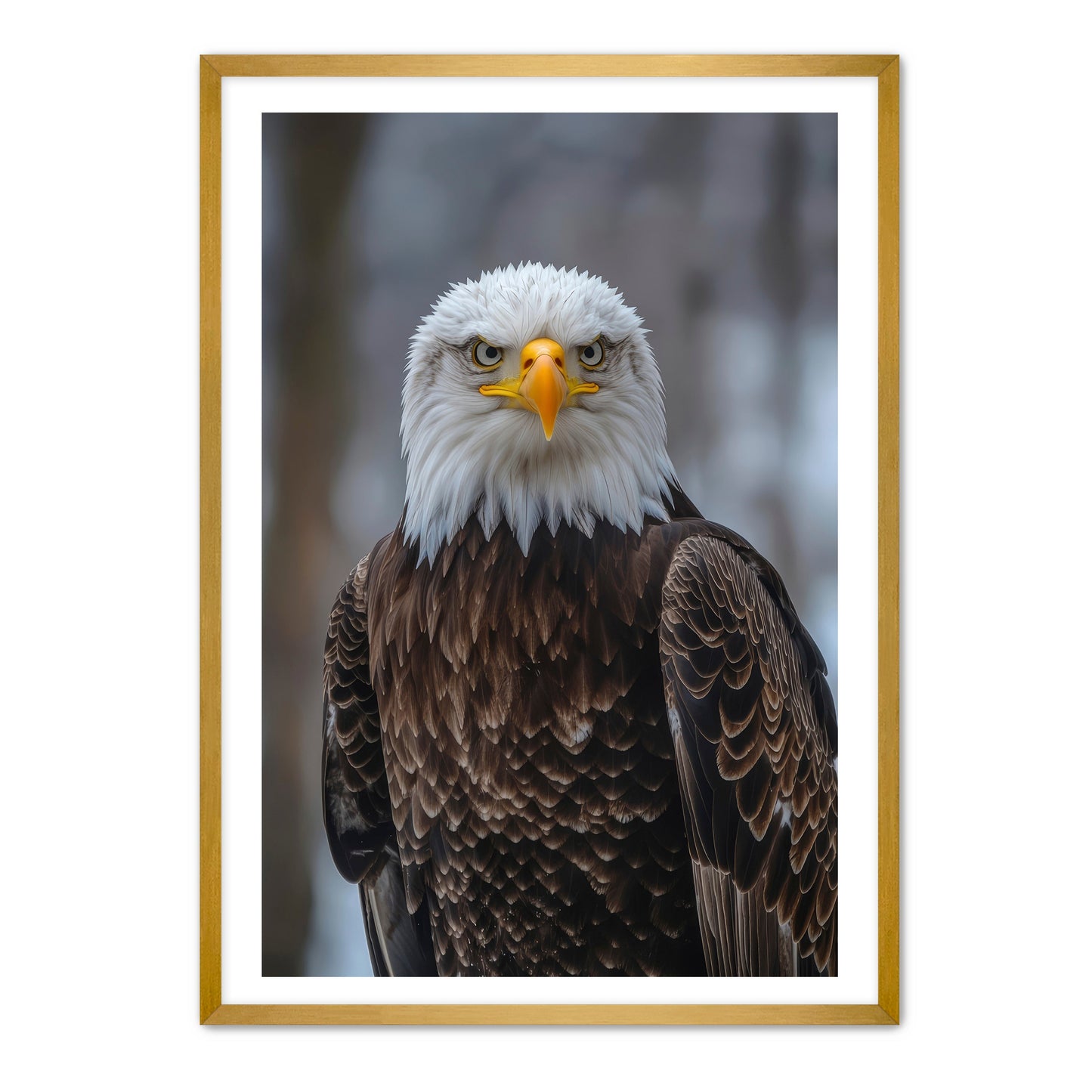 Majestic Eagle Portrait Wall Art