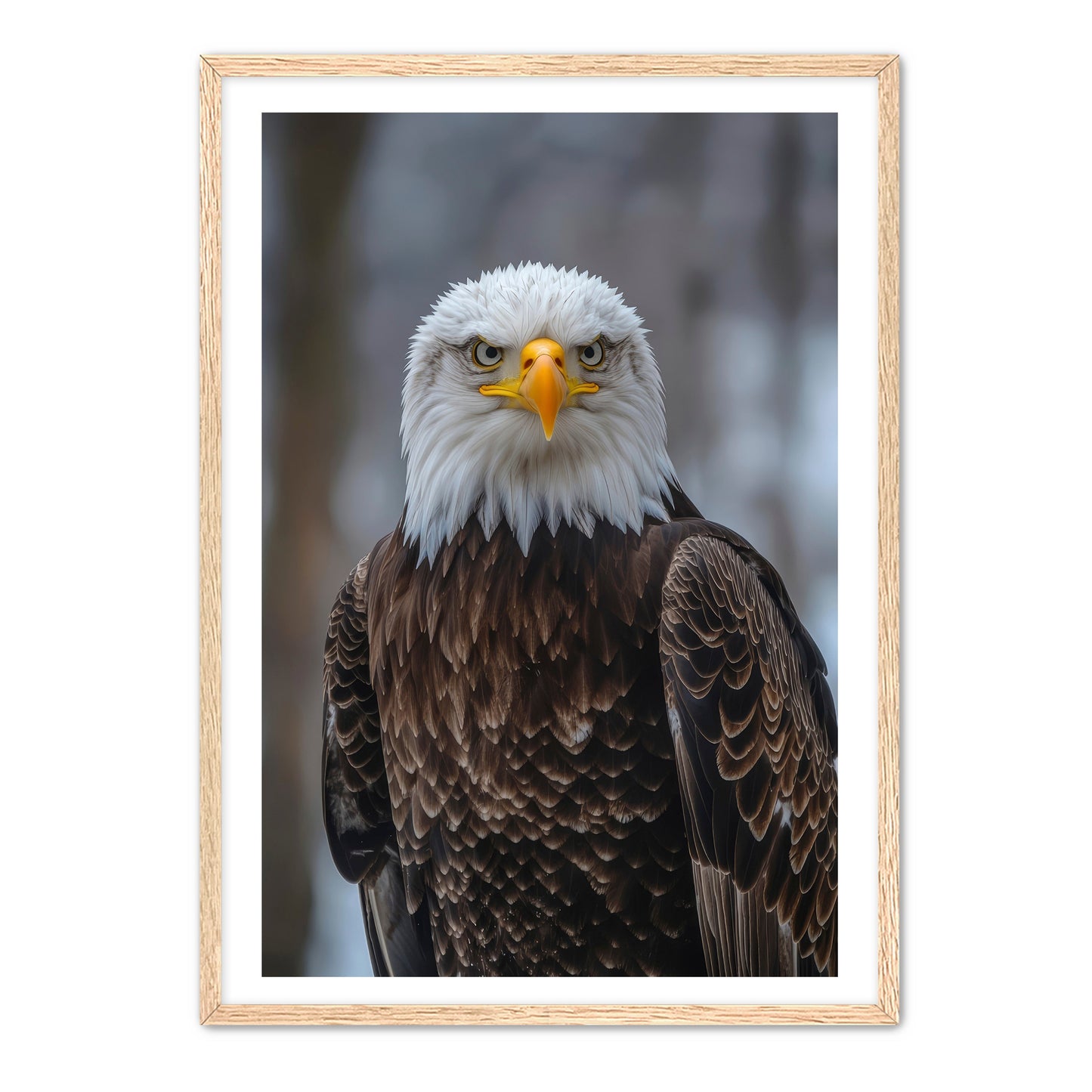 Majestic Eagle Portrait Wall Art