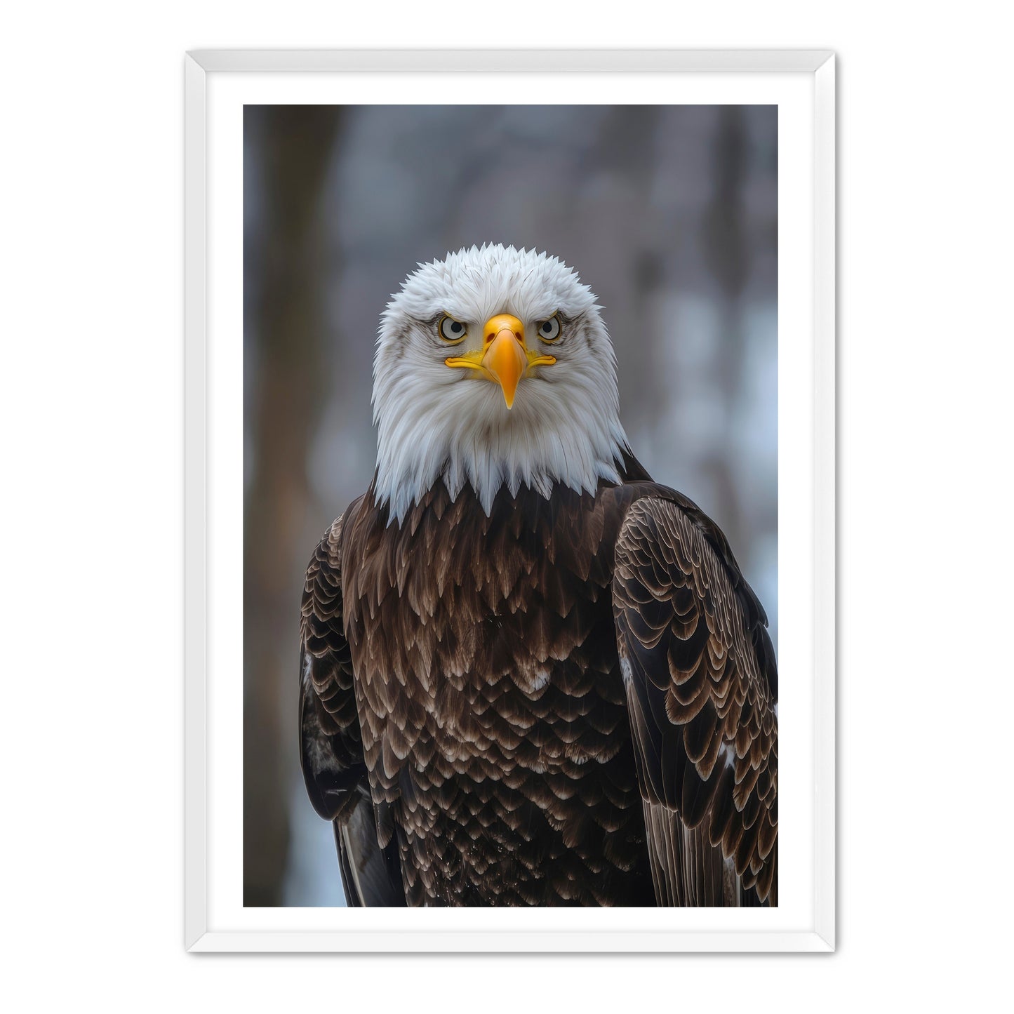 Majestic Eagle Portrait Wall Art