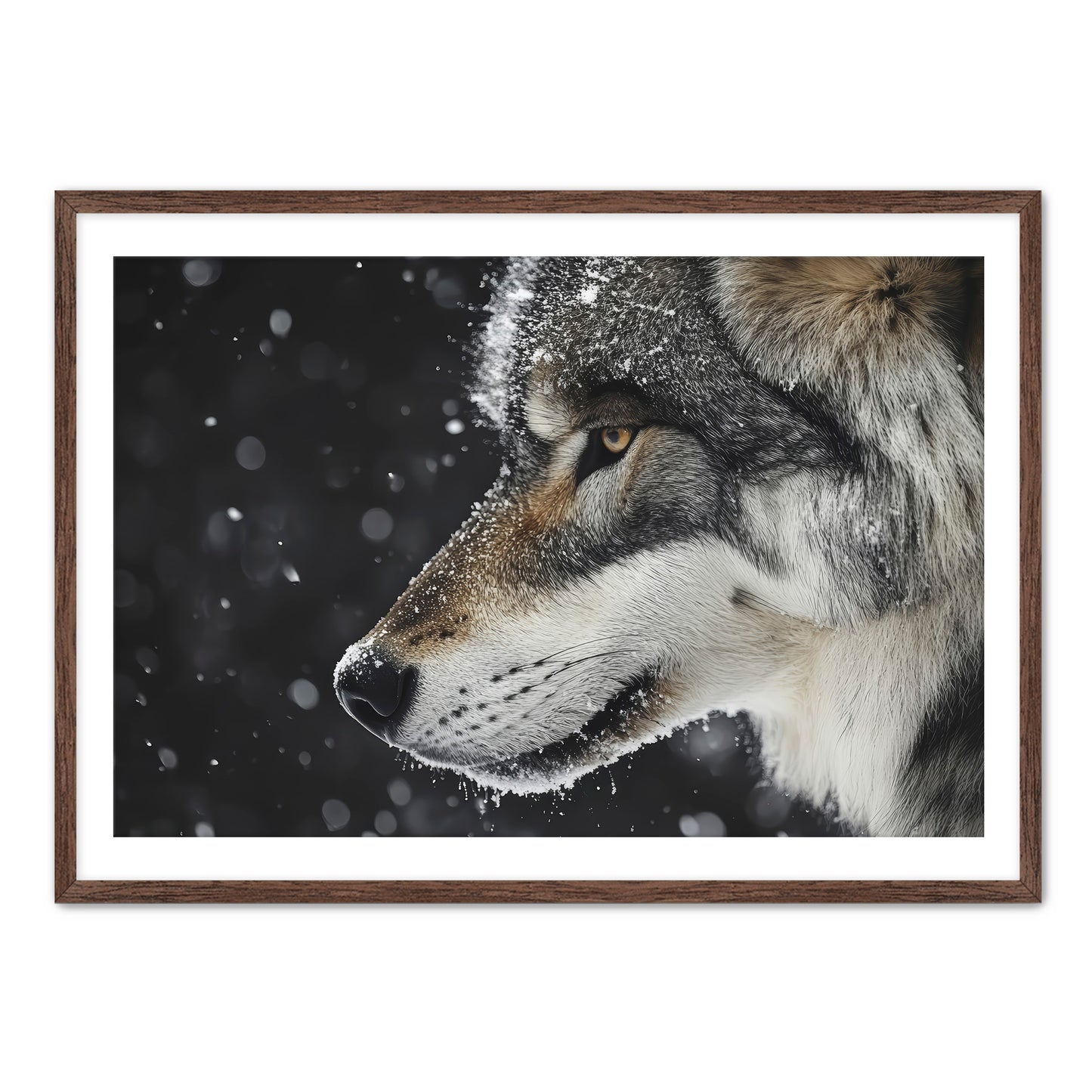 First Snowfall  Wall Art