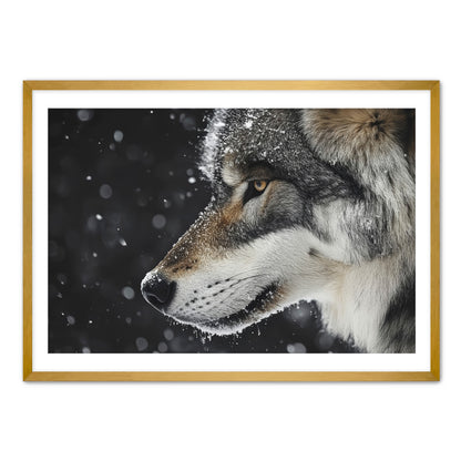 First Snowfall  Wall Art