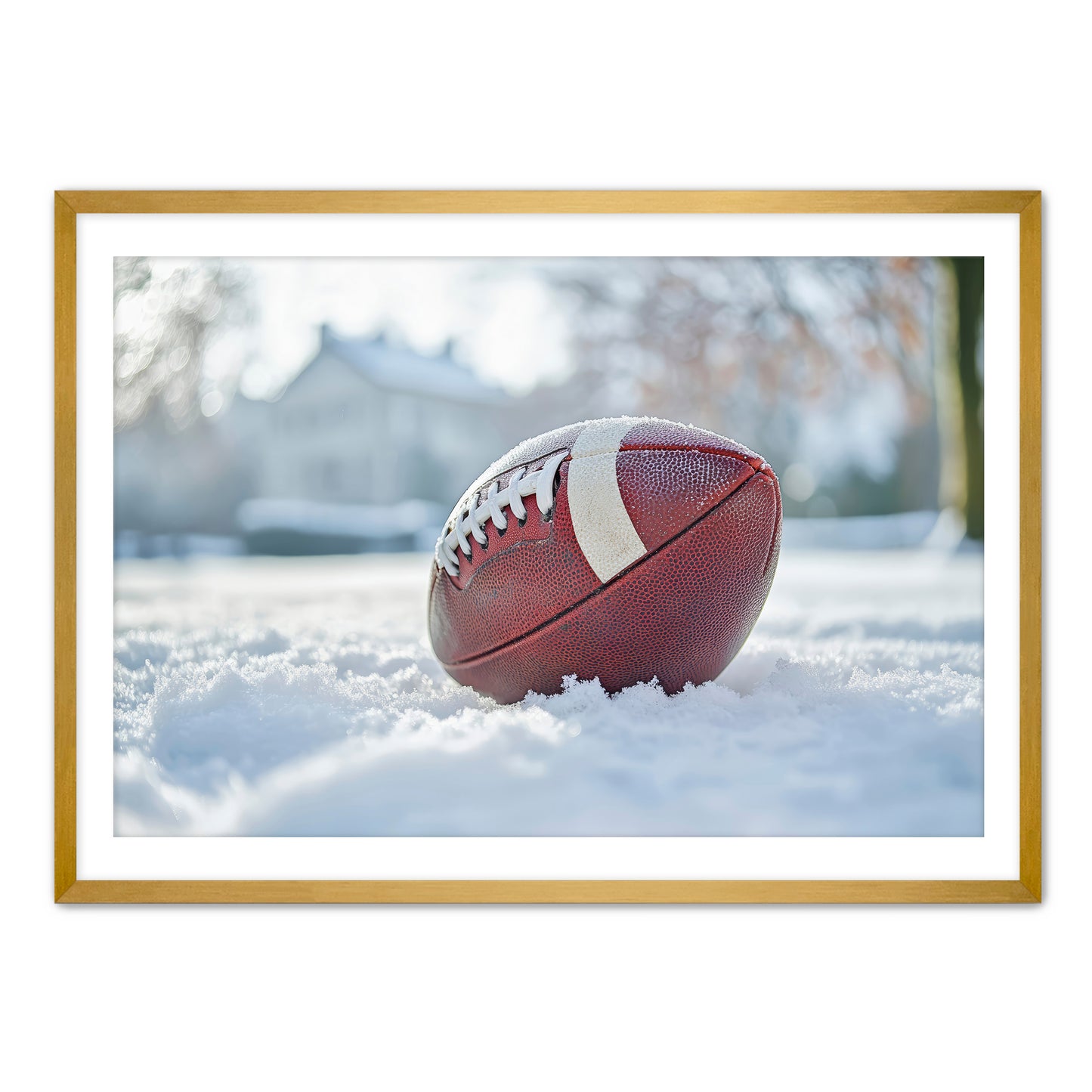 Football in Snow  Wall Art