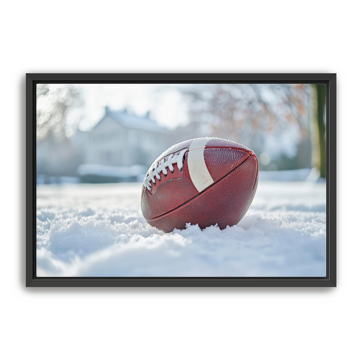 Football in Snow  Wall Art