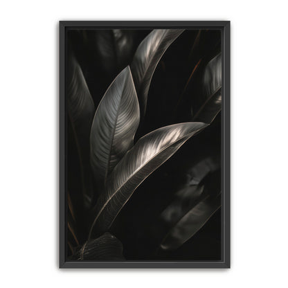 Lief  Wall Art