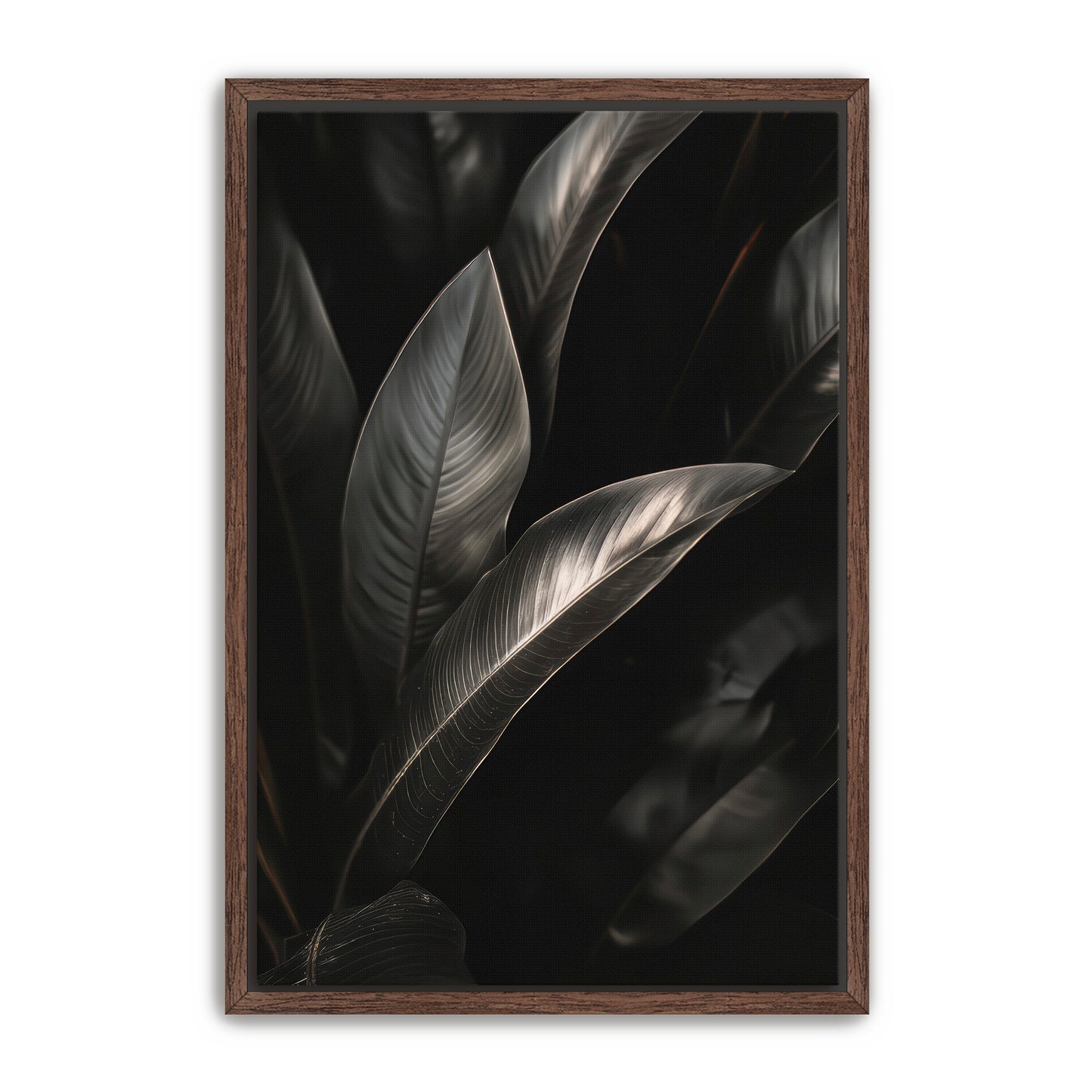 Lief  Wall Art