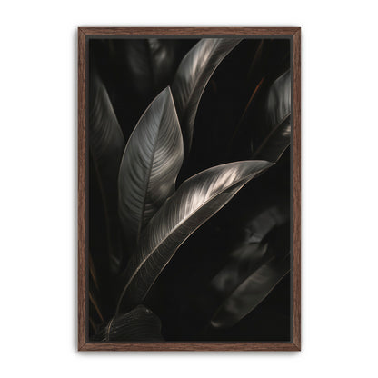 Lief  Wall Art