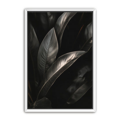 Lief  Wall Art