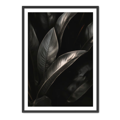 Lief  Wall Art