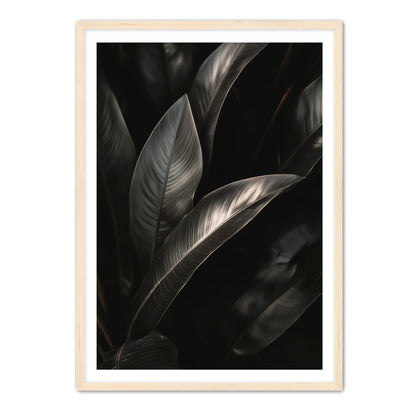 Lief  Wall Art