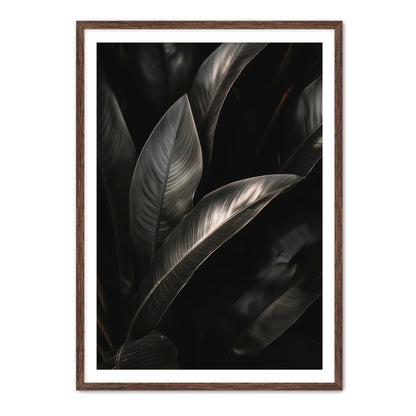 Lief  Wall Art