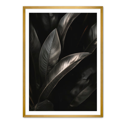 Lief  Wall Art