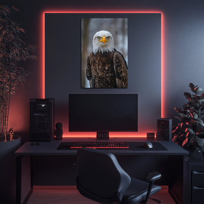 Majestic Eagle Portrait Wall Art