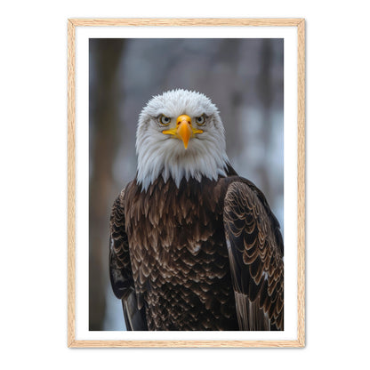 Majestic Eagle Portrait Wall Art