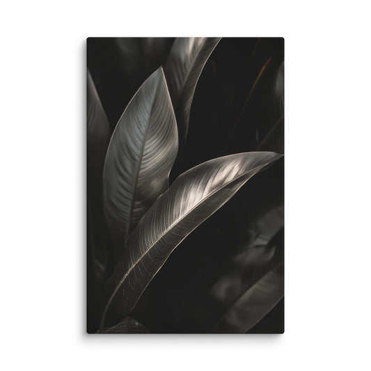 Lief  Wall Art